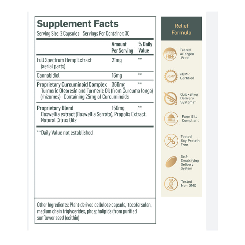 CBD Synergies Pain Relief