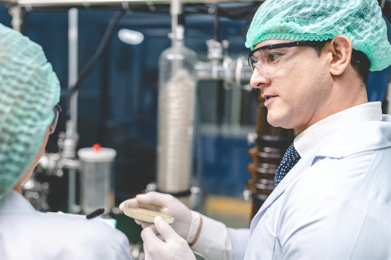 Cannabidiol (CBD) and the Gut: Exploring Therapeutic Potential in GI Disorders