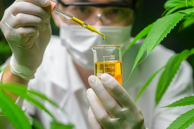 TruGen3: A Legacy of Science-Driven Nutraceutical Innovation