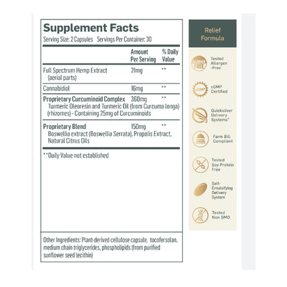 CBD Synergies Pain Relief